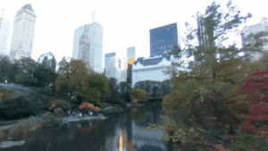 Central Park New York City, NY